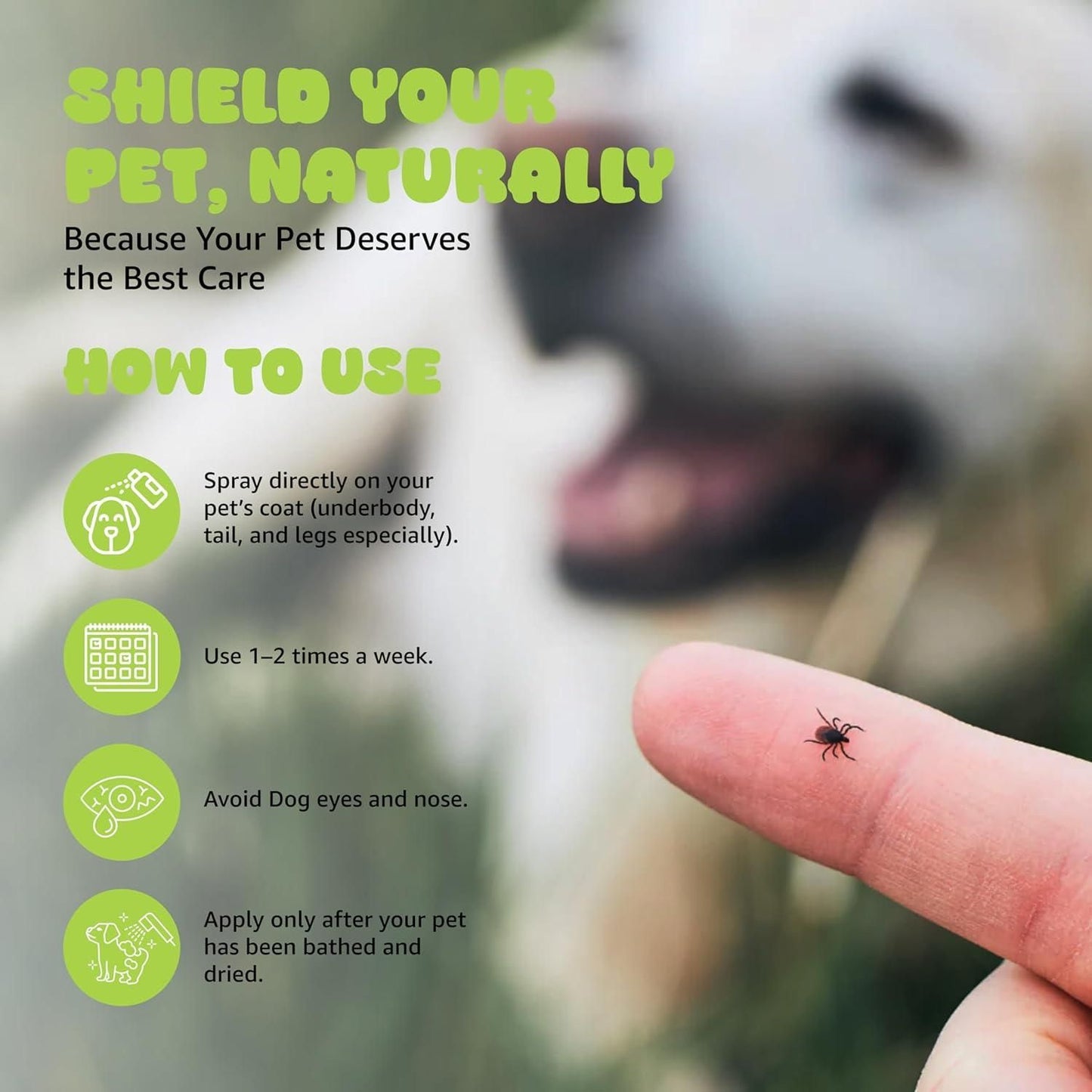 Flea & Tick Repellent Spray (Buy 1 get 1 free)