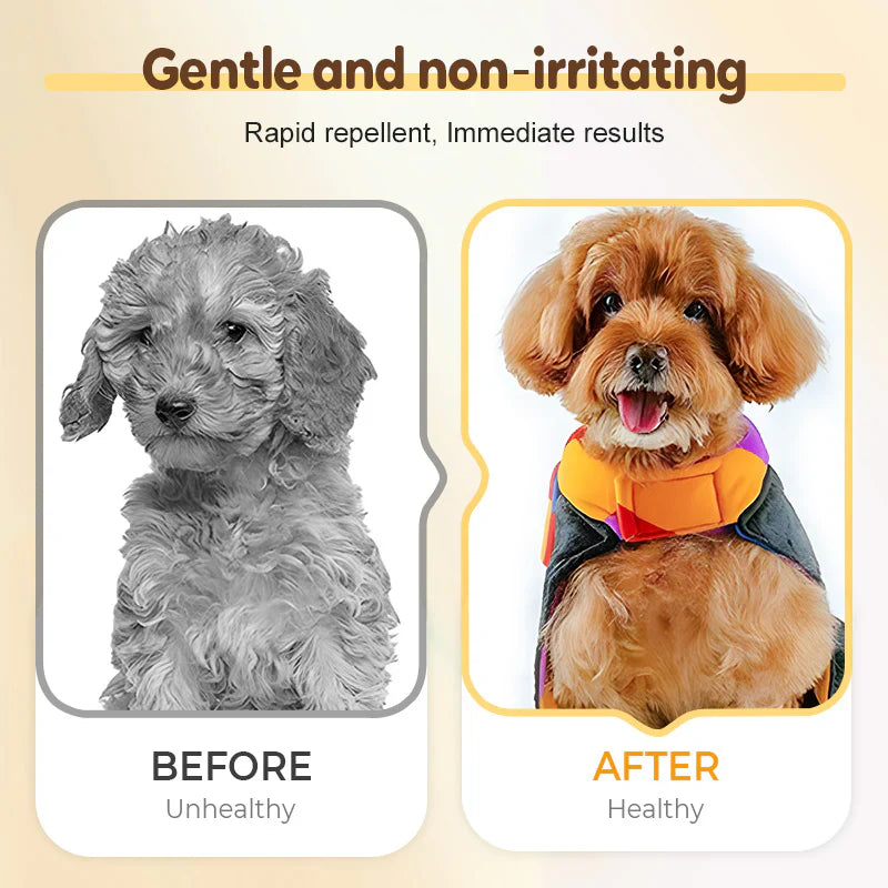 Flea & Tick Repellent Spray (Buy 1 get 1 free)